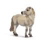 Schleich 塑胶模型卡马克母马S13609