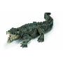 Schleich 塑胶模型鳄鱼S14378