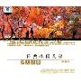 黑鸭子演唱组:经典校园民谣(CD)