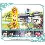 越剧:舞台姐妹(3VCD)