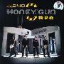 糖果枪乐队:HONEY GUN糖果枪(CD)