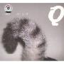 自然卷 这就是生活(CD)