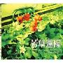 芳草莲檬(CD)