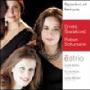 进口CD:肖斯塔科维奇及舒曼钢琴三重奏(CD3003)