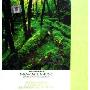 新世纪音乐 原味大自然纯净之旅(4CD)