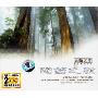 陶笛之歌 天籁之音 SOUNDS OF NATURE(CD)