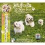 三狗组(CD)