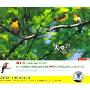 天堂鸟Songbirds at Twilight(CD)
