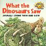 恐龙的模样HelloReader 1 What the Dinosaurs SawHR1