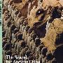 The Search for Ancient China (New Horizons)古代中国探秘