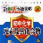 新阳光专题攻略：初中化学  元素及其化合物