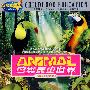 鸟类昆虫世界（精品套盒）（5VCD）