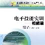 电子技能实训（初级篇）——专业基础课程与实训课程系列