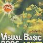 VISUAL BASIC2005入门与提高