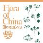 中国植物志图集第11卷(英文版)