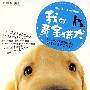 我的黄金猎犬(DVD)