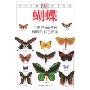 蝴蝶:全世界500多种蝴蝶的彩色图鉴(彩色)(新版)(自然珍藏图鉴丛书)