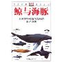 鲸与海豚:全世界79种鲸与海豚的彩色图鉴(彩色)(新版)(自然珍藏图鉴丛书)