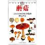 蘑菇(自然珍藏图鉴丛书)