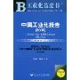2009工业化蓝皮书：中国工业化报告(2009)15个重点工业行业现代化水平的评价与研究(工业化蓝皮书)(附赠DVD光盘一张)