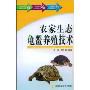 农家生态龟鳖养殖技术(农业新技术普及读物丛书)