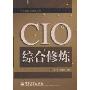 CIO综合修炼(中国信息化管理文库)