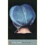 The Crucible (Penguin Modern Classics)
