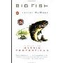 Big Fish: A Novel of Mythic Proportions (Paperback)