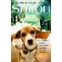 Shiloh (Paperback)