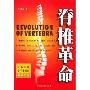 脊椎革命(Revolution of Vertebra)