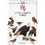鸟:全世界800多种鸟的彩色图鉴(自然珍藏图鉴丛书)