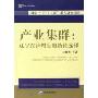 产业集群--辽宁经济增长的路径选择/当代中国中青年管理学家文库(当代中国中青年管理学家文库)