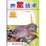 养鳖技术
