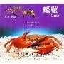 新法布尔自然观察法15(第2辑·水王国):螃蟹
