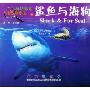 新法布尔自然观察法14(第2辑水王国):鲨鱼与海狗