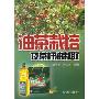 油茶栽培及茶籽油制取