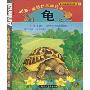 慢吞吞的爬行者:龟(适合5至10岁小朋友阅读)(注音版)(我的动物朋友系列)