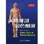 人体解剖彩色图谱(第2版)(Colour Atlaa of Human Anatomy)