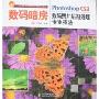 数码暗房:Photoshop CS3数码照片后期处理专业技法(附盘)(数码暗房)