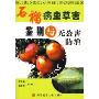 石榴病虫草害鉴别与无公害防治