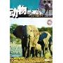动物奇观6(DVD)