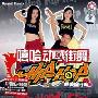 嘻哈动感街舞(2VCD附书)