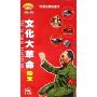 文化大革命始末(10VCD)