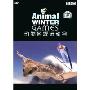 动物冬季运动会(DVD)
