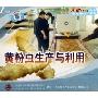 黄粉虫生产与利用(VCD)