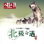 北极奇遇
