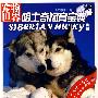 哈士奇饲育宝典（附光盘）