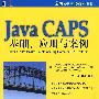 Java CAPS基础、应用与案例 1碟