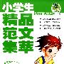 小学生精品范文集萃（最新版畅销作文）