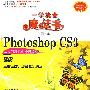 中文版Photoshop CS3从入门到精通（全彩版）（配光盘）（一学就会魔法书（第2版））